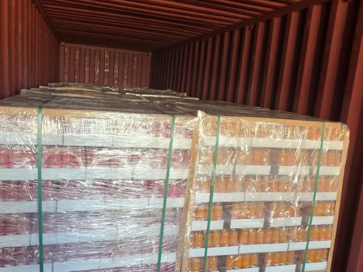 Wrapped pallets of packaged products secured inside a shipping container